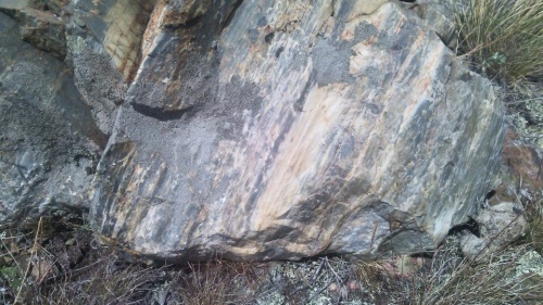 Гигантские зелёные валуны для ландшафтного дизайна весом более 5 тонн купить в Истре